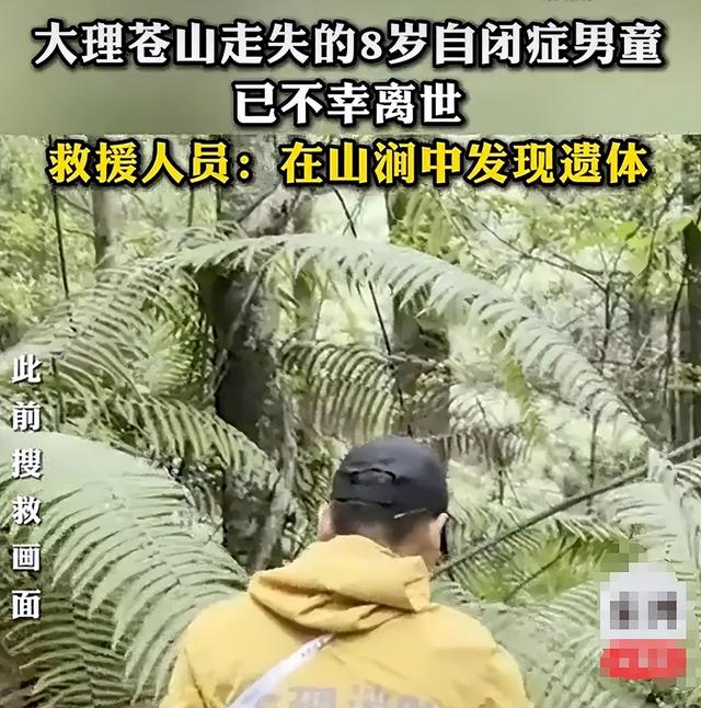 自闭男童尸检出炉！死因曝光，不是溺亡，家属发声，残酷内幕被扒