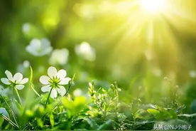 女人不主动联系，却又不拒绝你，目的很明确图片