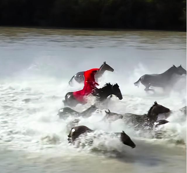 47岁贺娇龙去世!抢救过程被曝，此前疑早有征兆，将葬在父亲身旁