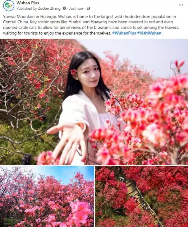 单日游客创五年之最！云雾山搅热“花经济”