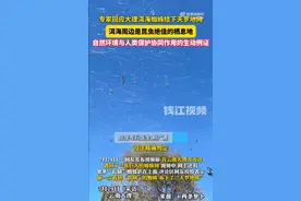 第一次看到蜘蛛结下了天罗地网，专家：洱海周边是昆虫绝佳的栖息地图片