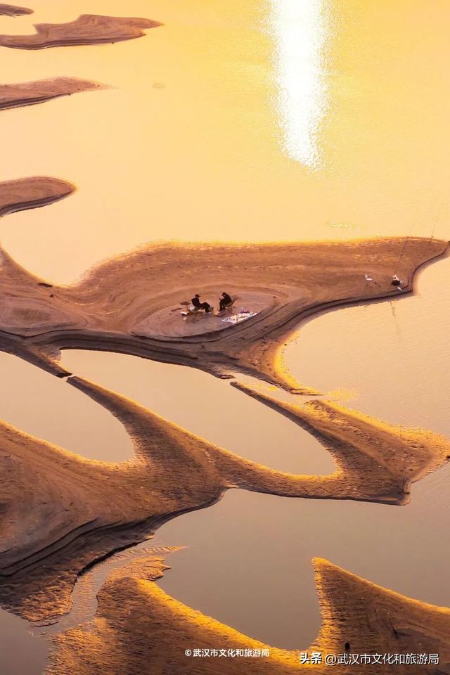 沙漠踏雪，只在武汉，最佳观赏期到了！