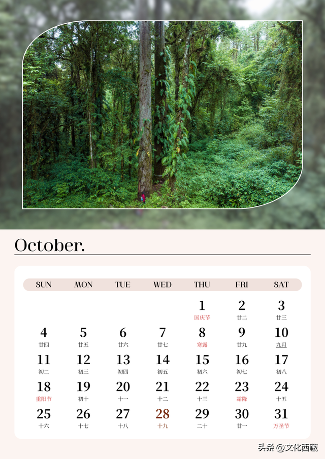 去了西藏墨脱，就等于去了全世界！