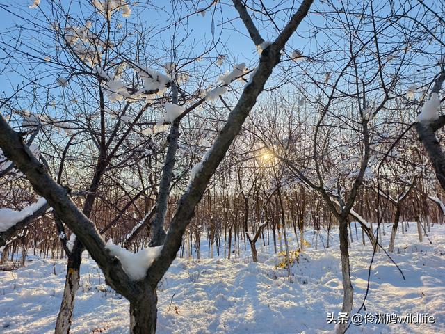 新疆乌鲁木齐红光山大佛寺