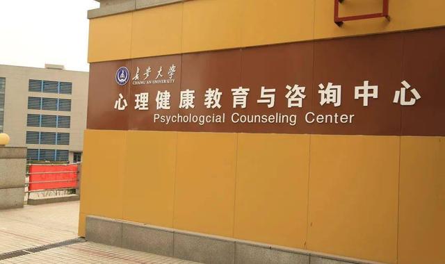 孩子心理健康与名牌大学:哪个更重要——儿童心理健康全方位思考
