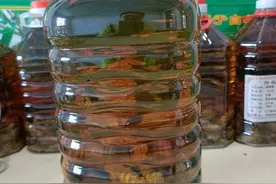 全网最另类的泡酒料！用雄蚕蛾泡酒！究竟能不能喝？图片