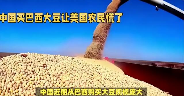 到手的肥肉飞了！巴西大豆疯狂溢价 中国反手砸130 万订单给阿根廷