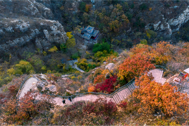 金普山色“杠杠好”，重阳攀登“步步高”