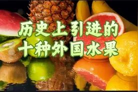 祖宗严选：中国老祖宗引进的十种外国水果，现在已经家喻户晓图片