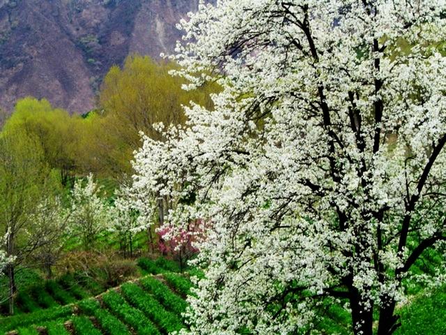 丹巴，千碉之国，承袭西夏遗风