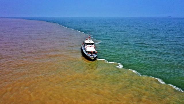 【黄河口生态旅游区】邂逅多彩黄河口，赴一场自然与生命的浪漫之约