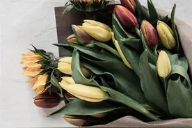 70岁的女人，还会不会对男人动心？看完你就会心里有数图片