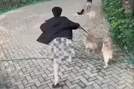 笑麻了！“光腚”遛狗的后续监控视频来了，我却在评论区出不去图片