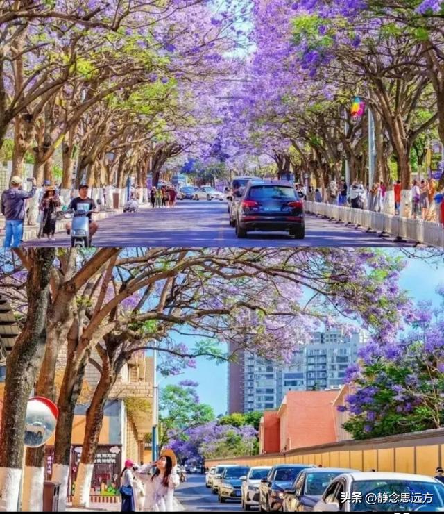 我是河南人，一家人来了趟云南昆明忍不住有五个小疑问想和你聊聊