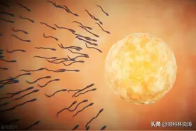 精液发黄怎么回事？会影响生育吗？图片