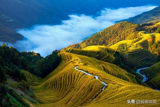 就快收割啦！上榜全国十大赏秋地的桂林龙脊梯田，你来了吗？