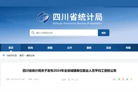 四川省平均工资出炉，创造历史，看看你的收入位次？图片