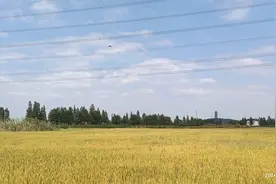 无锡首位状元蒋重珍，原来是宜兴蒋澄之后图片