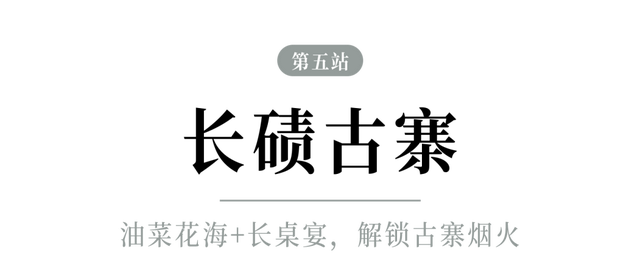 春假出逃计划 │ 从指尖绿意到星空露营，开启春日黔北茶韵之旅！