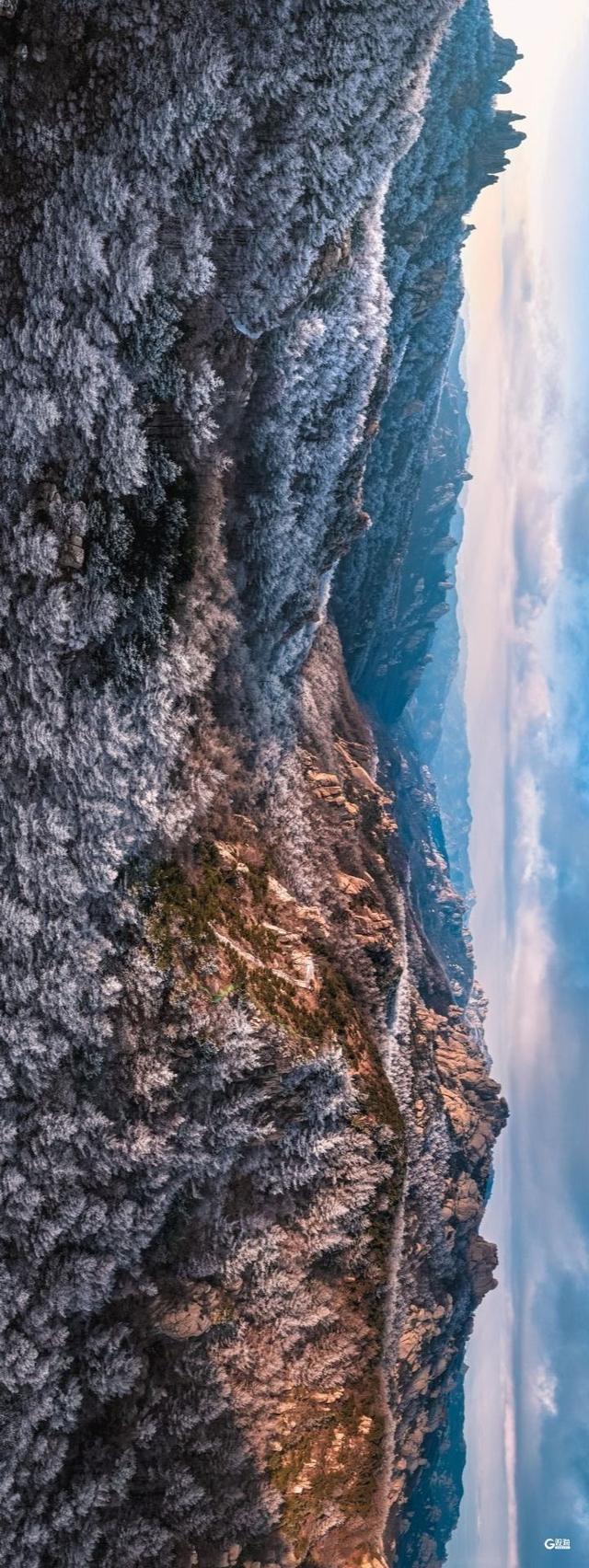 崂山迎来雾凇：石与松的素色禅意