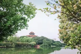 春日邀约：一岛一桥一木皆画卷，来解锁城市里的“绿野仙踪”图片