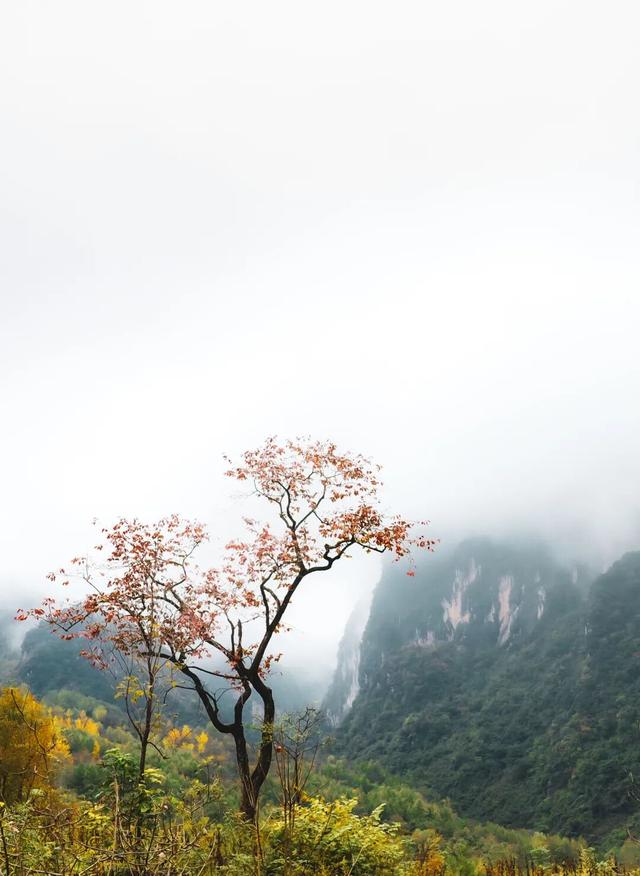赵山、邹本伟、燕海潮徽县风光摄影作品
