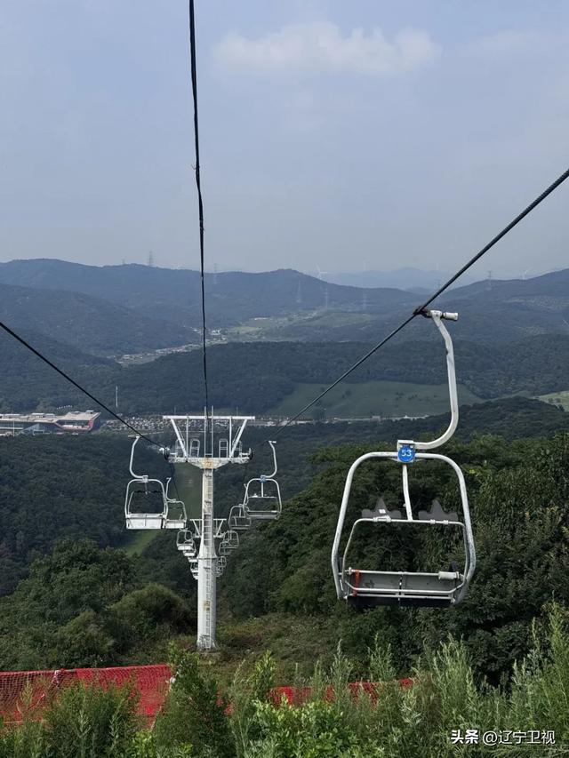 沈阳周边隐藏的“小阿勒泰”！市内出发一小时直达的云端秘境，还有高山草甸+萌宠乐园