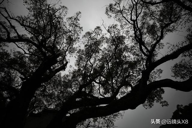 婺源，一个山水与人文完美交融的“明珠”