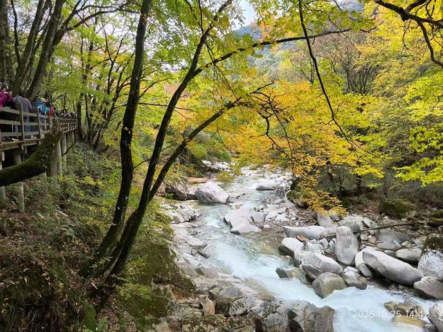 排队游览光雾山