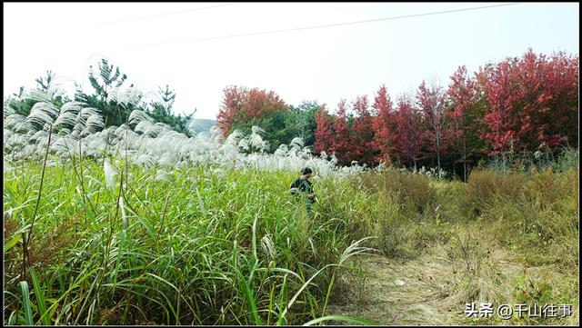 车轮碾过诗与画：枣庄骑行打卡地全攻略（老骑友多年亲测推荐）