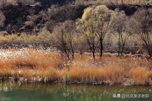 门头沟秋日自驾 五条绝美路线