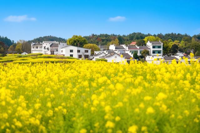 丹霞+油菜花太绝了！湖南安仁这个免费秘境美到失语