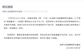 熊猫基地通报：19岁男子在基地放飞无人机，已被公安机关行政处罚图片