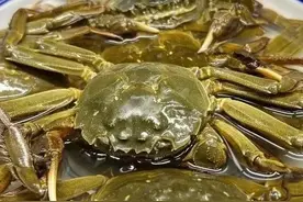 蒸螃蟹时只放姜片就错了，多加这2步，肉质细腻，蟹黄鲜美不流失图片