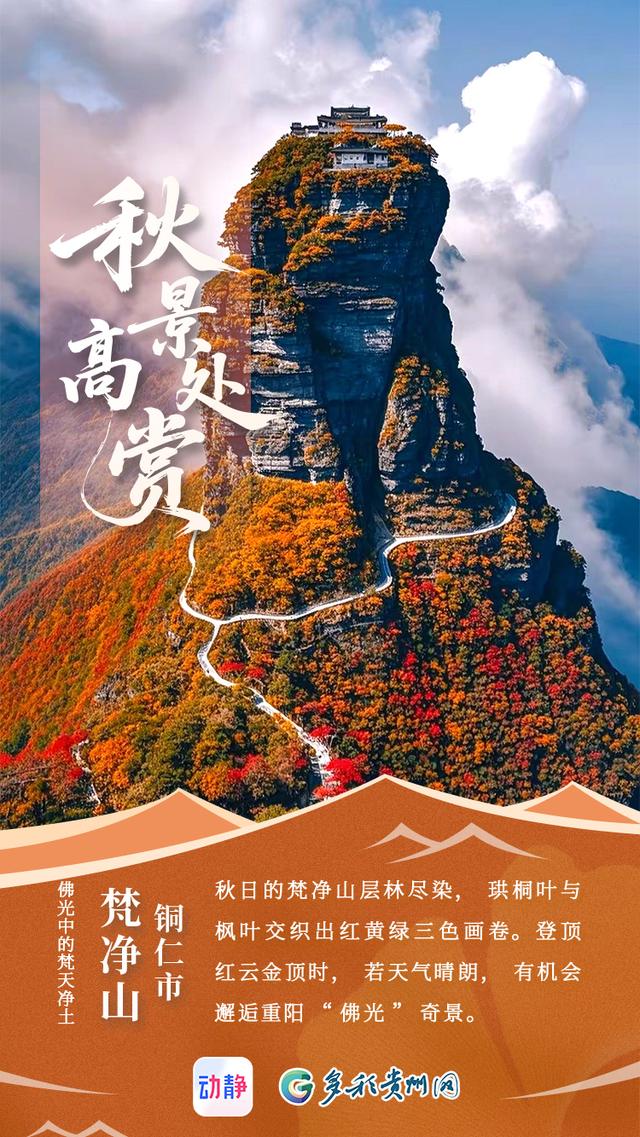 秋景高处赏，请收藏这份贵州重阳登山指南