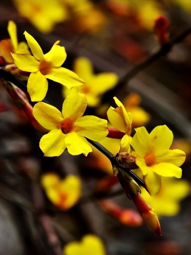 水上公园发布预告