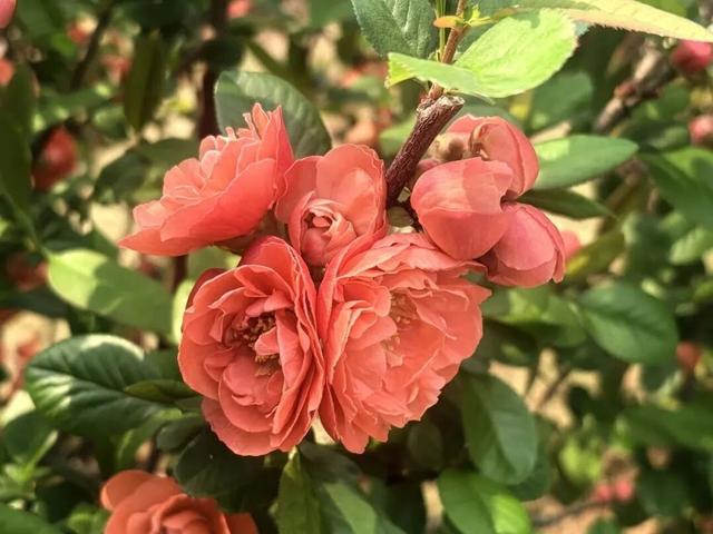 临沂春假旅行指南，请查收