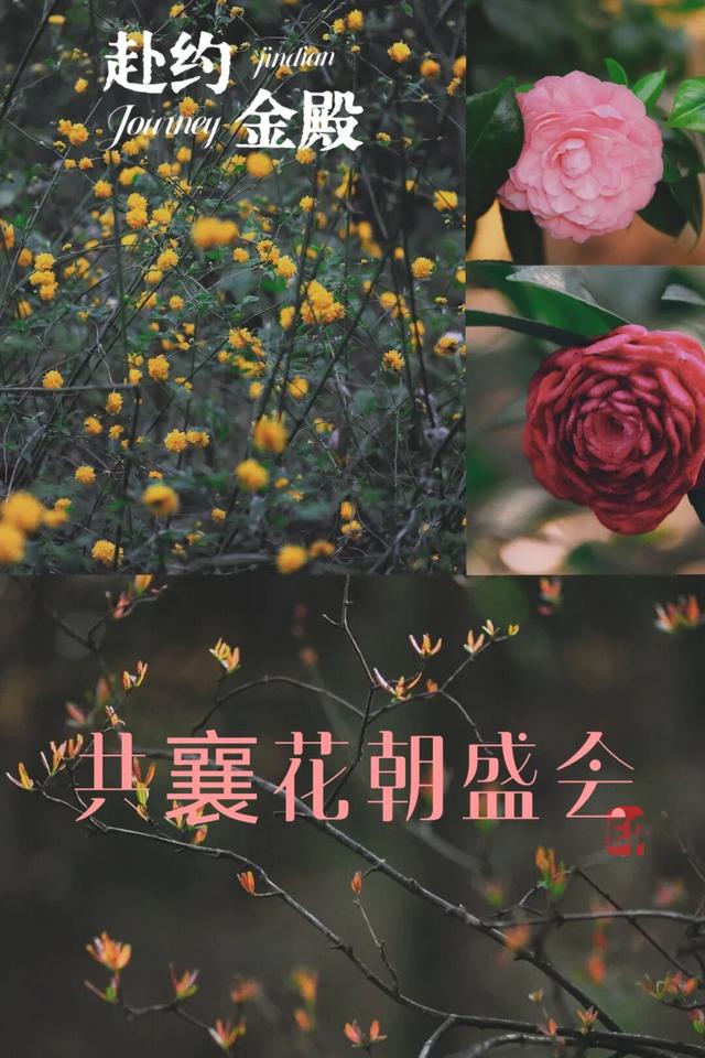 金殿名胜区第十届花朝节启幕特邀神秘嘉宾、十二花神大透漏！