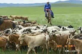 蒙古国发展到什么程度了？老实说，蒙古国经济现状很糟糕！图片