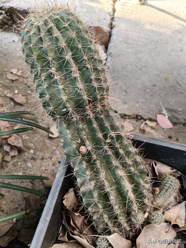 今天读了一篇文章，我终于知道钱是怎么来的。