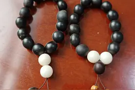 在北方，无患子是个很陌生的名字，找了大半个城市才发现三棵树。图片