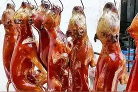 鲁智深吃的狗肉有多香？图片