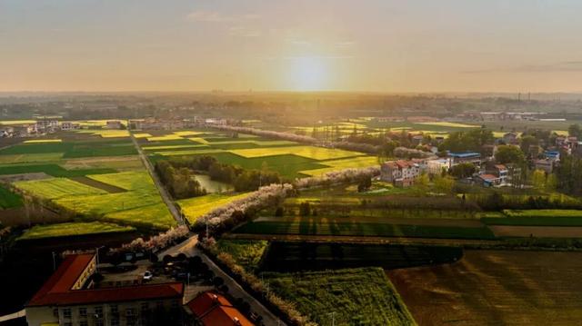 看不完，根本看不完！