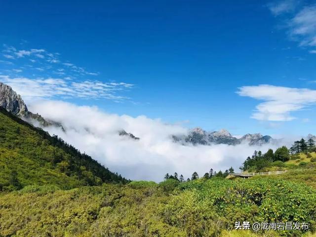 漫步雷古山：踏响官鹅沟的生态诗行
