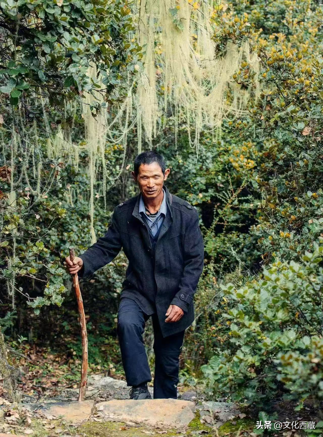 九死一生穿越「雅鲁藏布大峡谷」！西绕大叔的传奇人生