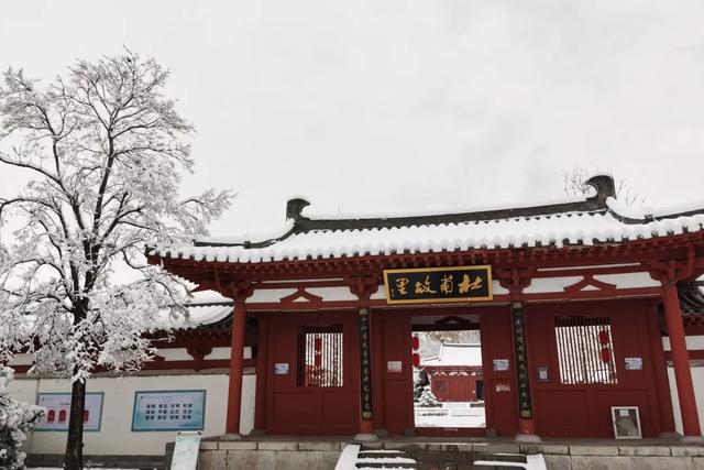 杜甫“归乡”引客来,巩义文旅携诚意走进广西