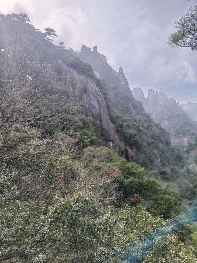 漫步黄山松掩山丛树杪，云隐仙踪徒步蹬道千阶