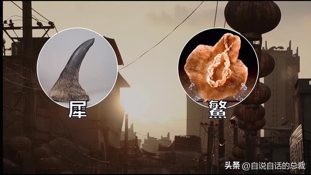 二十年的老鱼胶 2026年30年老鱼胶