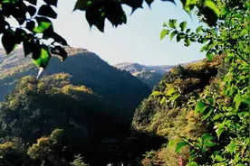 极致烂漫！快来山西上春山~图片