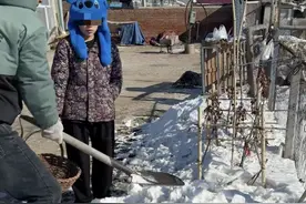 全体东北人的「春季噩梦」，两个字图片